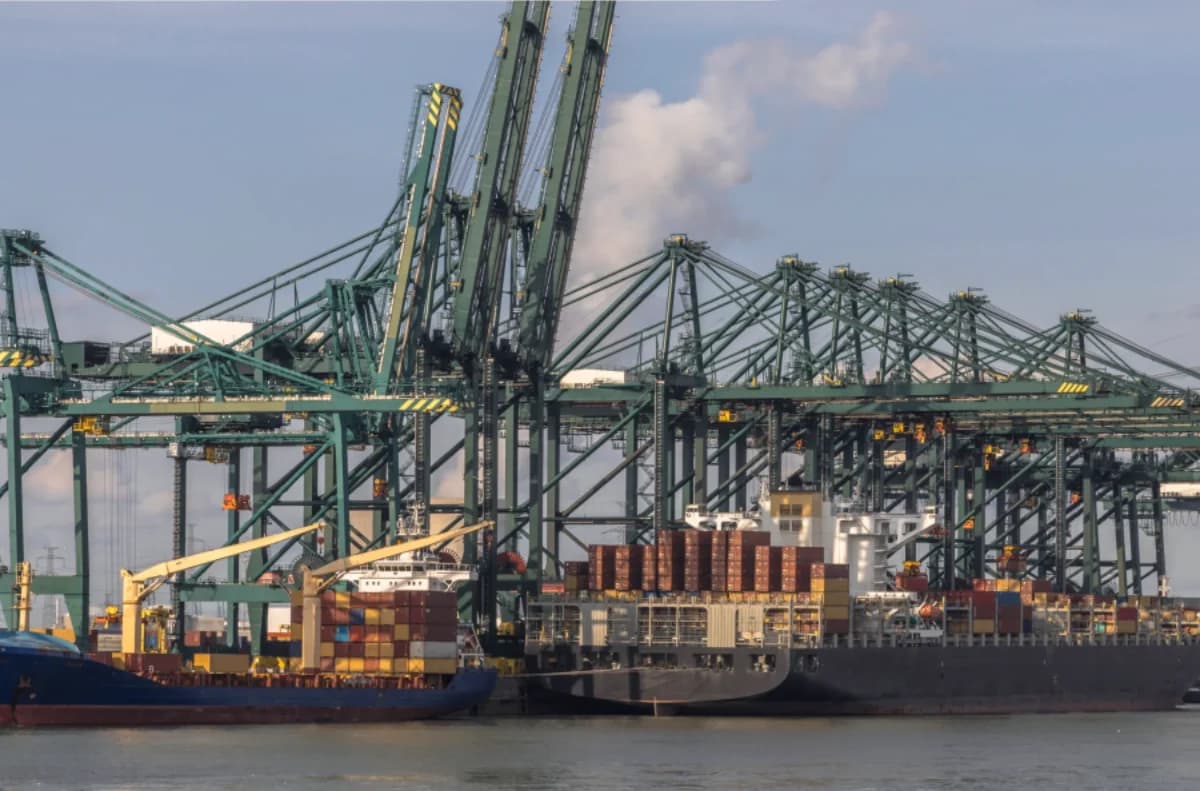 A row of green gantry cranes above a container ship and port quay.