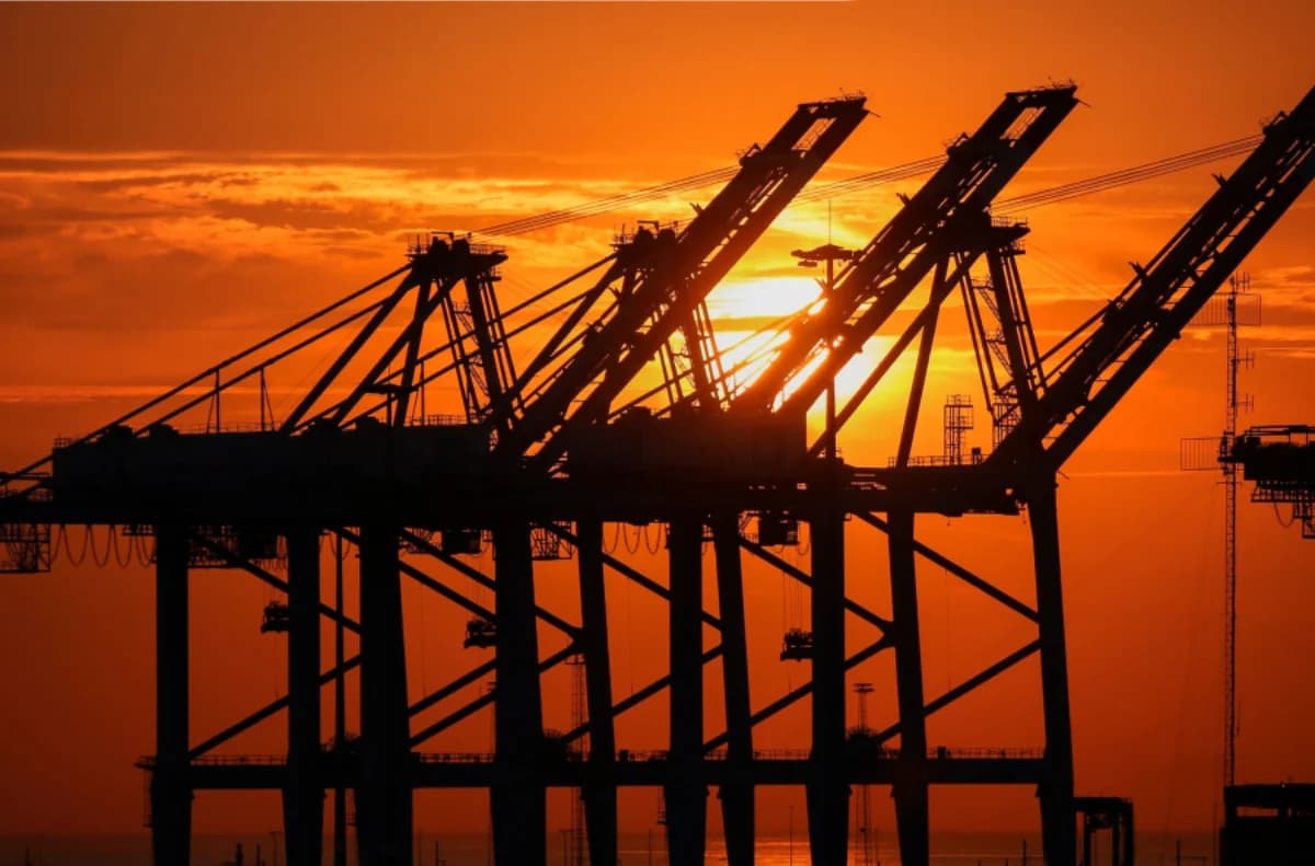 Silhouettes of port gantry cranes against an orange sky and the setting sun.
